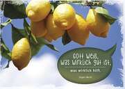 Jürgen Werth - Postkarten "Gott weiß, was wirklich gut ist,..." 4er-Serie Postkarten "Gott weiß, was wirklich gut ist,..." 4er-Serie
