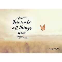 Postkarten: You make all things new, 4 Stück Postkarten: You make all things new, 4 Stück