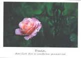 Postkarte "Danke" - 5 Stück