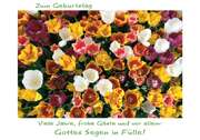Postkarte "Zum Geburtstag..." - 5 Stück Postkarte "Zum Geburtstag..." - 5 Stück