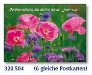 Postkarten Mohn, 6 Stück Postkarten Mohn, 6 Stück