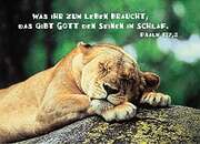 Postkartenserie - 12 Stück Postkartenserie - 12 Stück