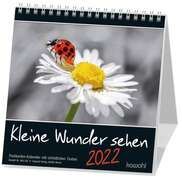 Kleine Wunder sehen 2021 Kleine Wunder sehen 2021