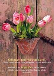 Phil Bosmans - Postkarten: Komm ans Licht, 12 Stück Postkarten: Komm ans Licht, 12 Stück