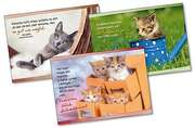 Katzen-Postkarten-Paket Katzen-Postkarten-Paket